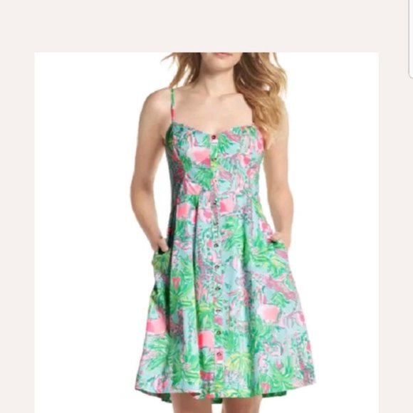 Lilly Pulitzer Dresses & Skirts - Lilly Pulitzer Easton Dress On Parade 6 NWT